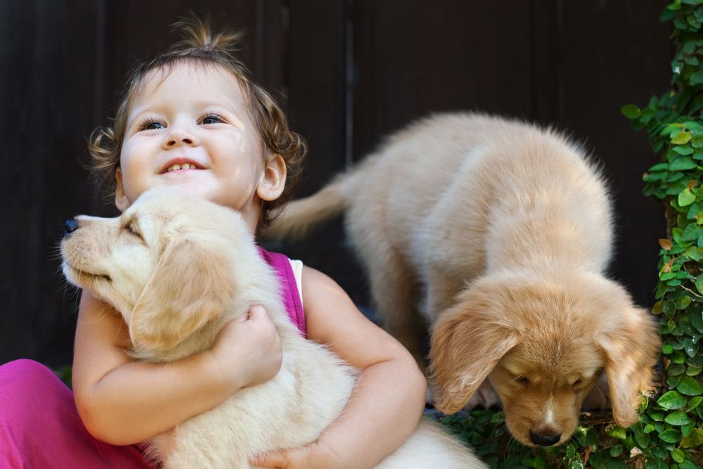 Manfaat Sehat Memelihara Anjing bagi Anak (Tropical-Studio/Shutterstock)