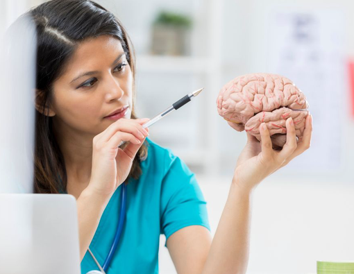 Mengenal Bagian dan Fungsi Batang Otak untuk Tubuh