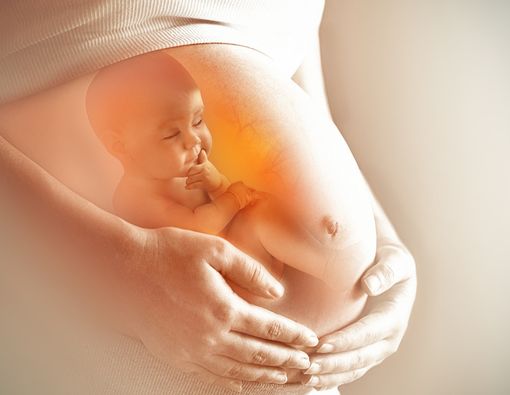 Mungkinkah Hamil Lagi Walau Rahim Turun?