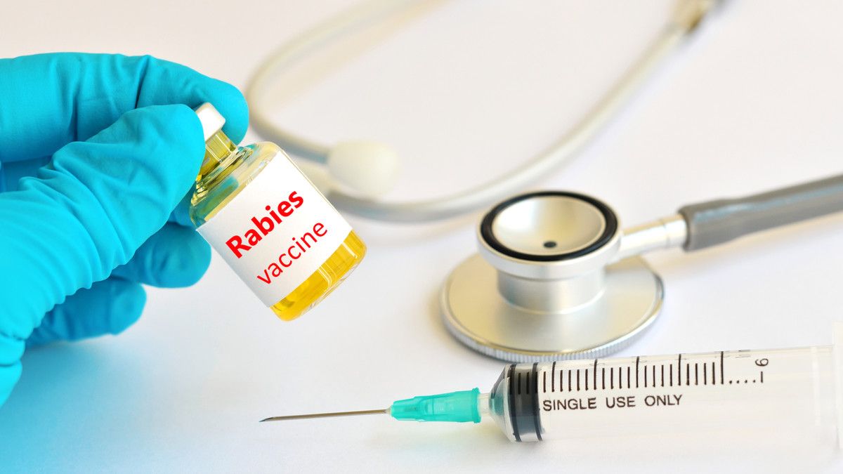 Bumil Digigit Hewan Liar, Bolehkah Suntik Vaksin Rabies?