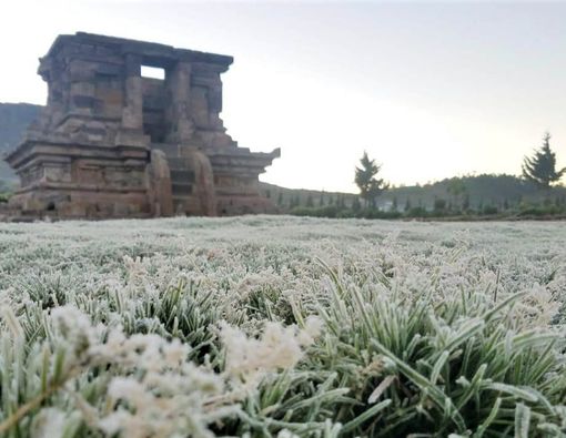 Suhu Dingin Ekstrem di Dieng Bisa Picu Gangguan Kesehatan Ini