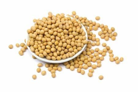 Protein Kedelai Berkhasiat Mencegah Osteoporosis