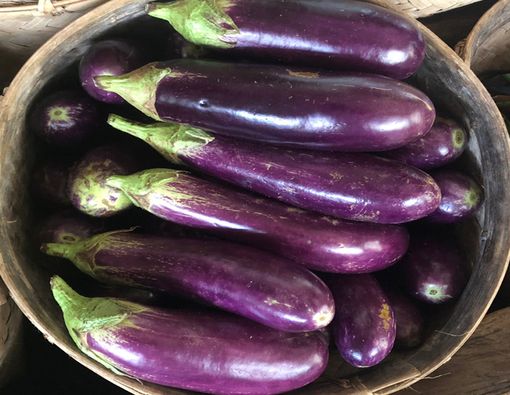 Bolehkah Ibu Hamil Makan Terong? Ini Kata Dokter