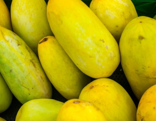 Manfaat Sehat Timun Suri untuk Buka Puasa