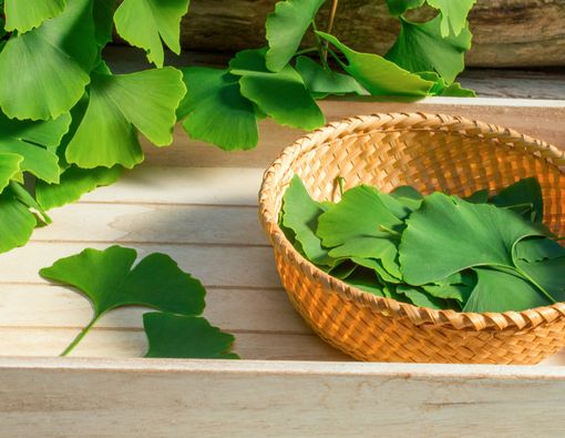 5 Tanaman Obat yang Terbukti Mujarab