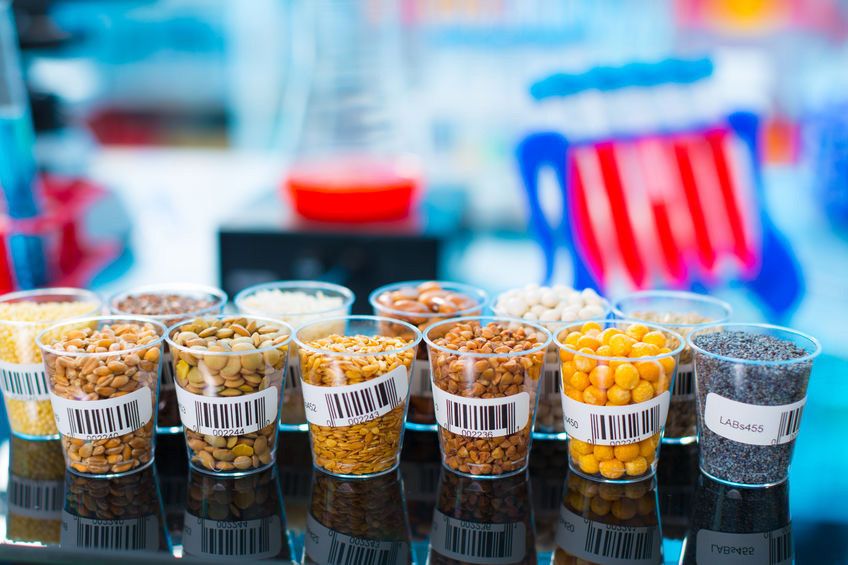 Benarkah Makanan Organik Kurangi Risiko Alergi?