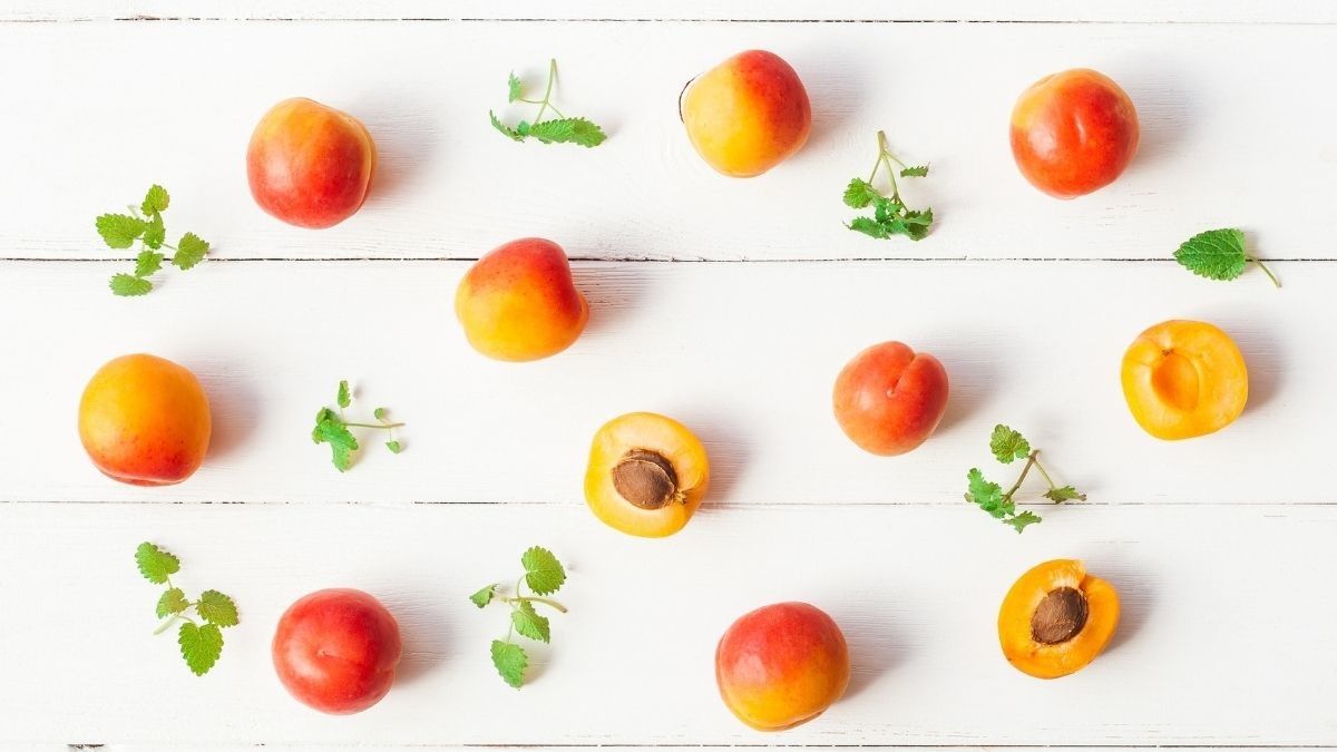 Biji Aprikot Berkhasiat untuk Mengatasi Kanker, Benarkah?