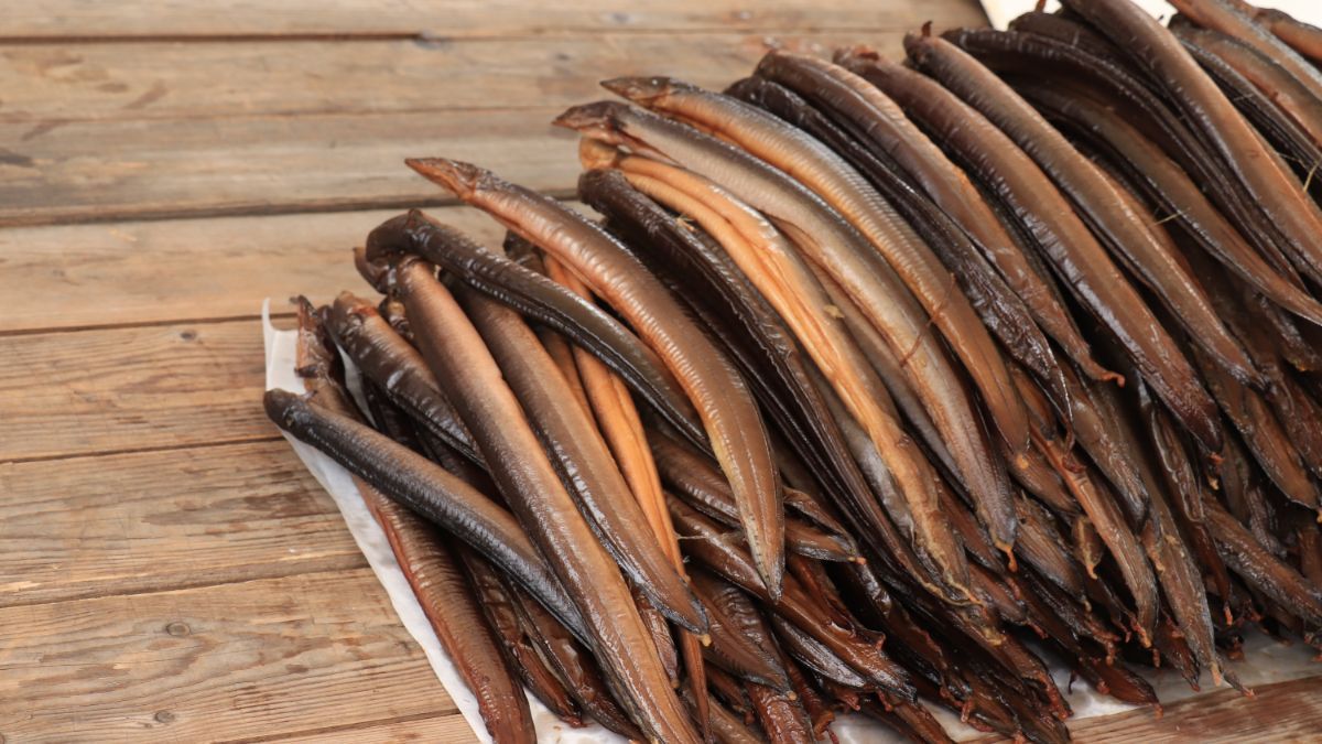 9 Manfaat Belut bagi Kesehatan, Sumber Protein yang Kaya Nutrisi!