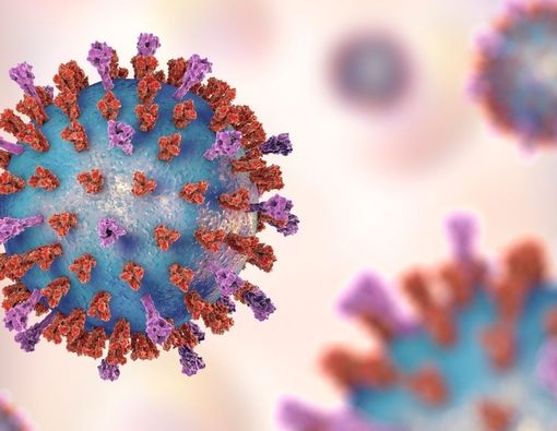 Respiratory Syncytial Virus Merebak di Selandia Baru, Penyakit Apa?