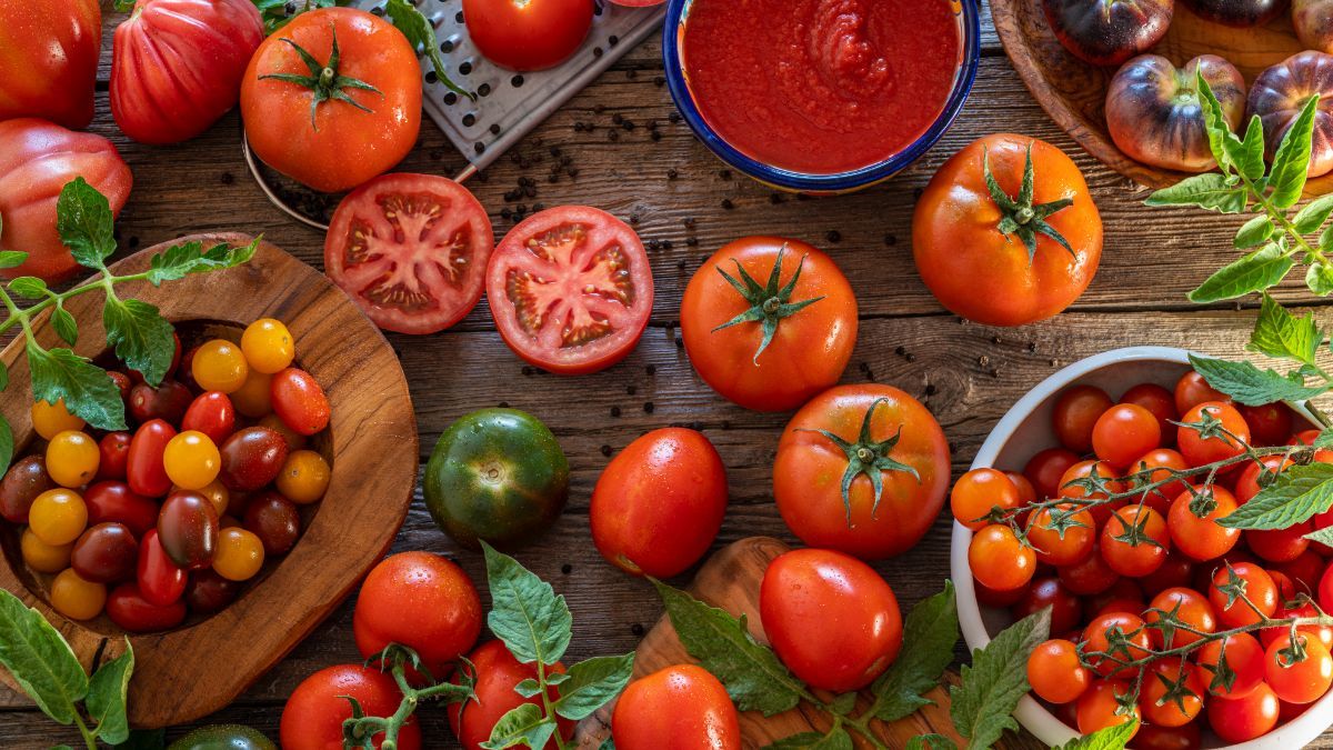 15 Manfaat Makan Buah Tomat Setiap Hari untuk Kesehatan Tubuh