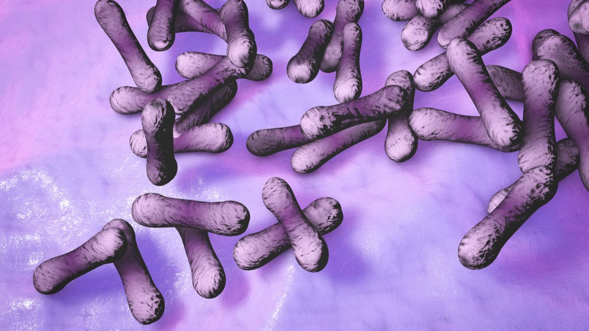 Mengenal Bakteri Penyebab Difteri dan Cara Menghindarinya