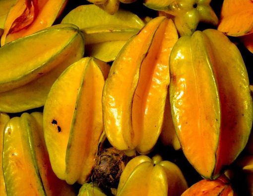 Hati-hati, Ini Bahaya Makan Belimbing untuk Ginjal!