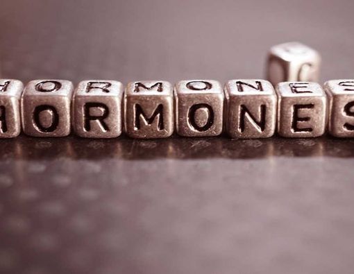 Cara Menyeimbangkan Kadar Hormon di Dalam Tubuh