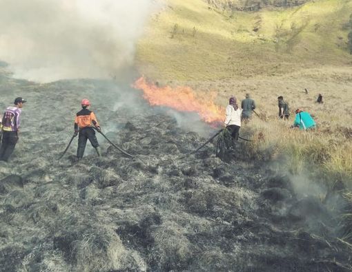 Bahaya Asap Kebakaran Hutan Bromo bagi Kesehatan
