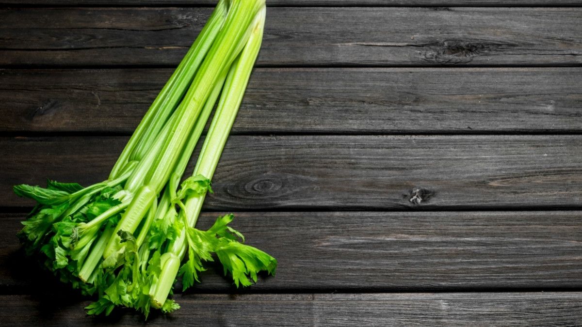 Menyingkap Manfaat Sikat Gigi Menggunakan Seledri