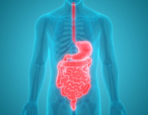 Jaga Kesehatan Pencernaan Anda dengan 5 Cara Mudah Ini