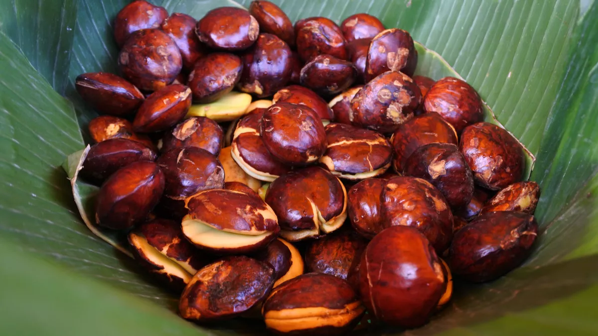 Khasiat Jengkol untuk Mengatasi Penyakit Jantung