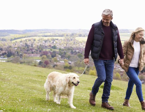 6 Manfaat bagi Tubuh Jika Anda Rutin Berjalan Kaki Setiap Hari