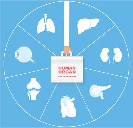 Transplantasi Organ, Perlukah Dilakukan?