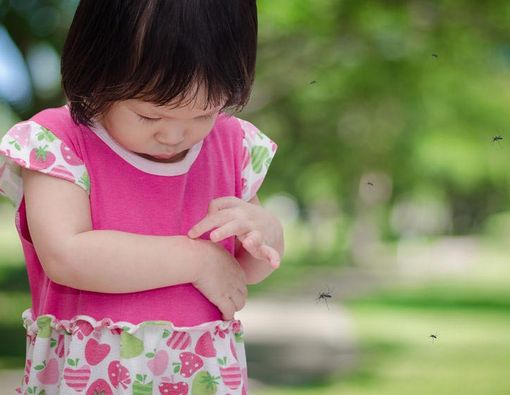 Alergi Gigitan Serangga, Diobati atau Biarkan Hilang Sendiri?