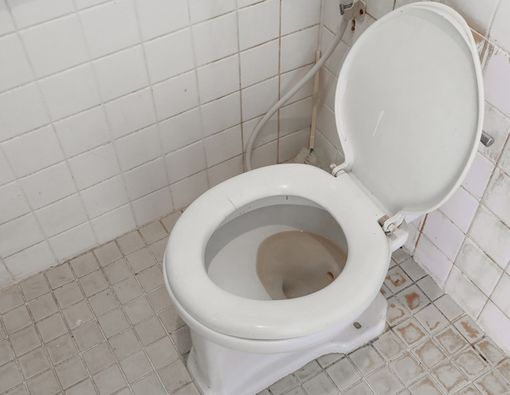 Tips Menggunakan Toilet Umum yang Kotor