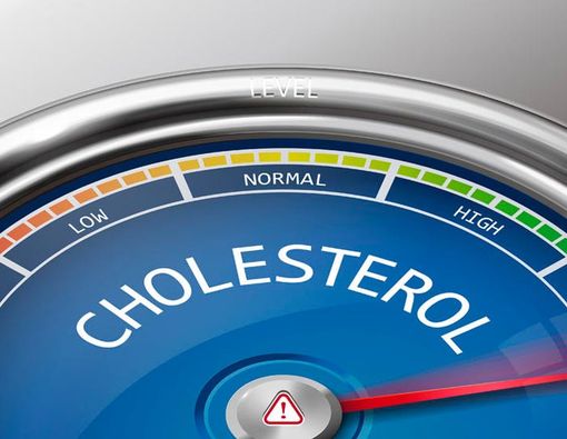 Kolesterol Tinggi