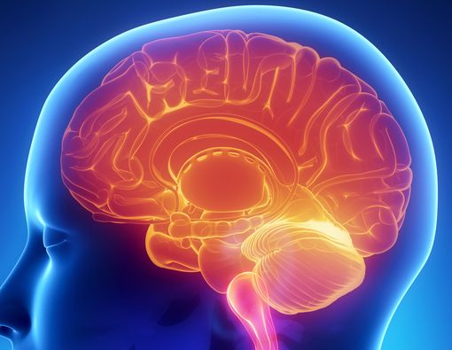 7 Kebiasaan Ini Picu Kerusakan Otak