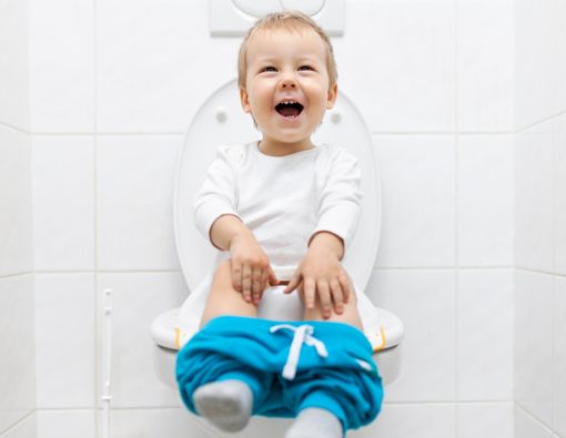 Tips Toilet Training untuk Anak agar Cepat Berhasil