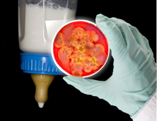 APMB Pastikan Produk Susunya Aman