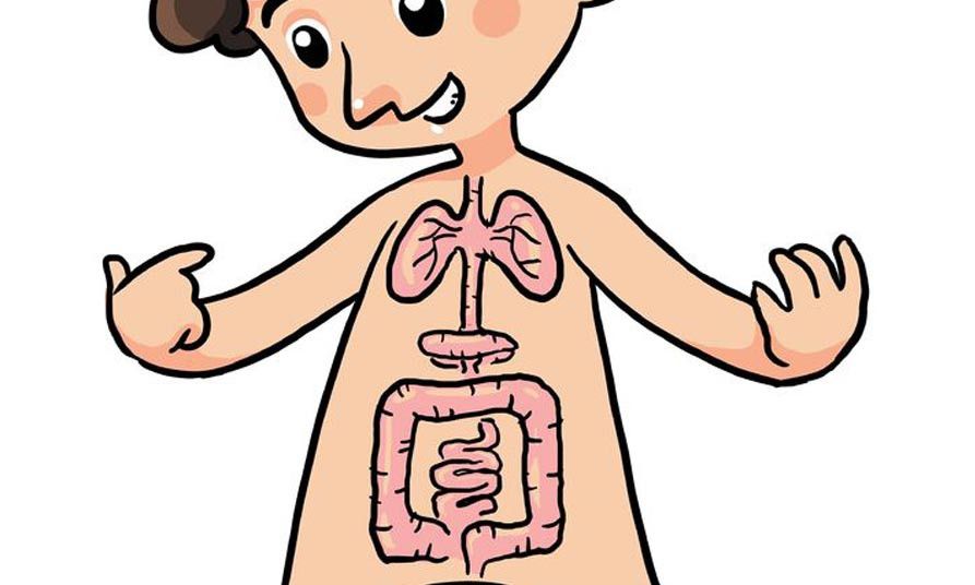 Ciri-Ciri Pencernaan Anak yang Sehat