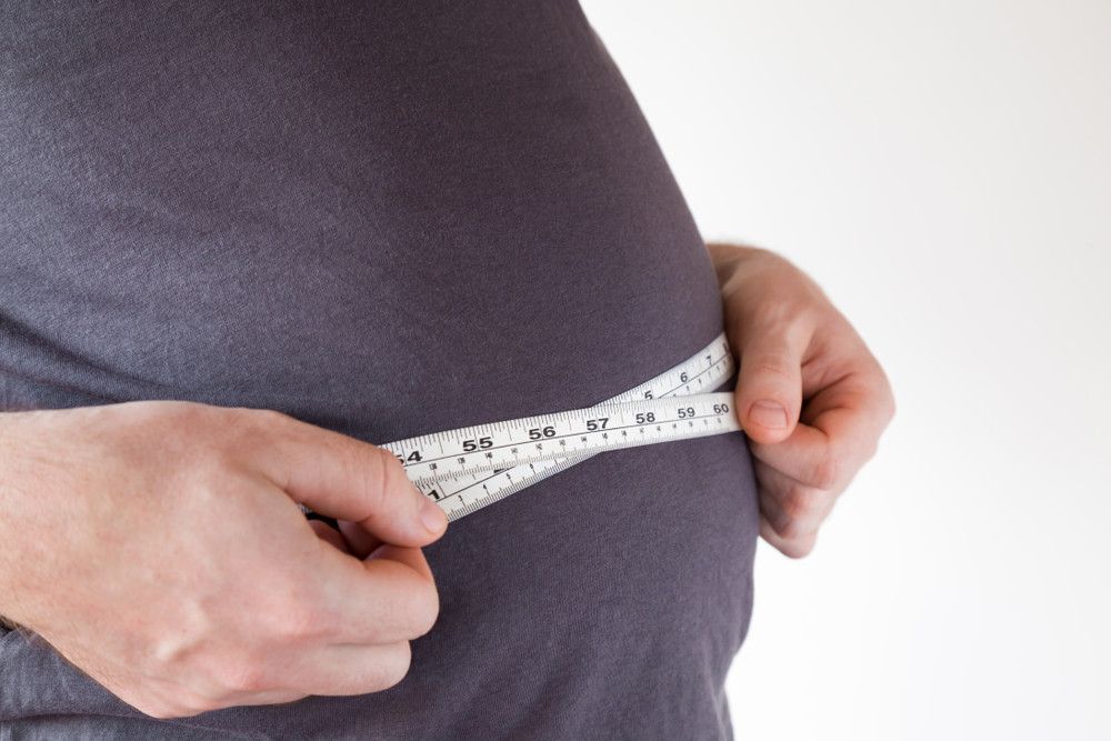 7 Penyebab Obesitas yang Sering Diabaikan (FotoDuets/Shutterstock)
