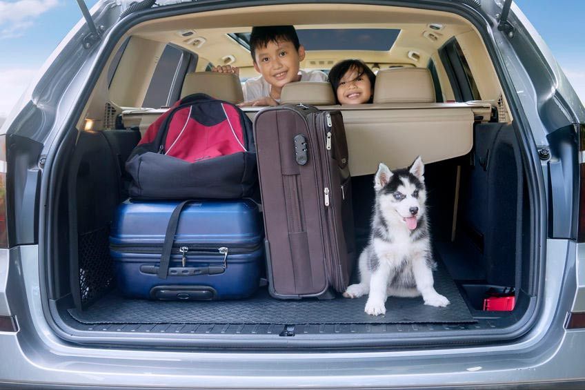 8 Barang yang Harus Dibawa Saat Liburan dengan Anak