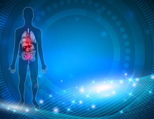 Kerusakan Berbagai Organ Vital Akibat Kekerasan Fisik