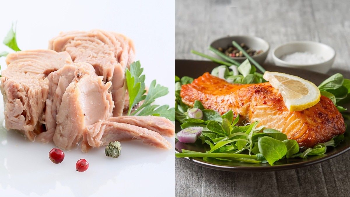 Tuna dan Salmon, Mana yang Lebih Sehat?