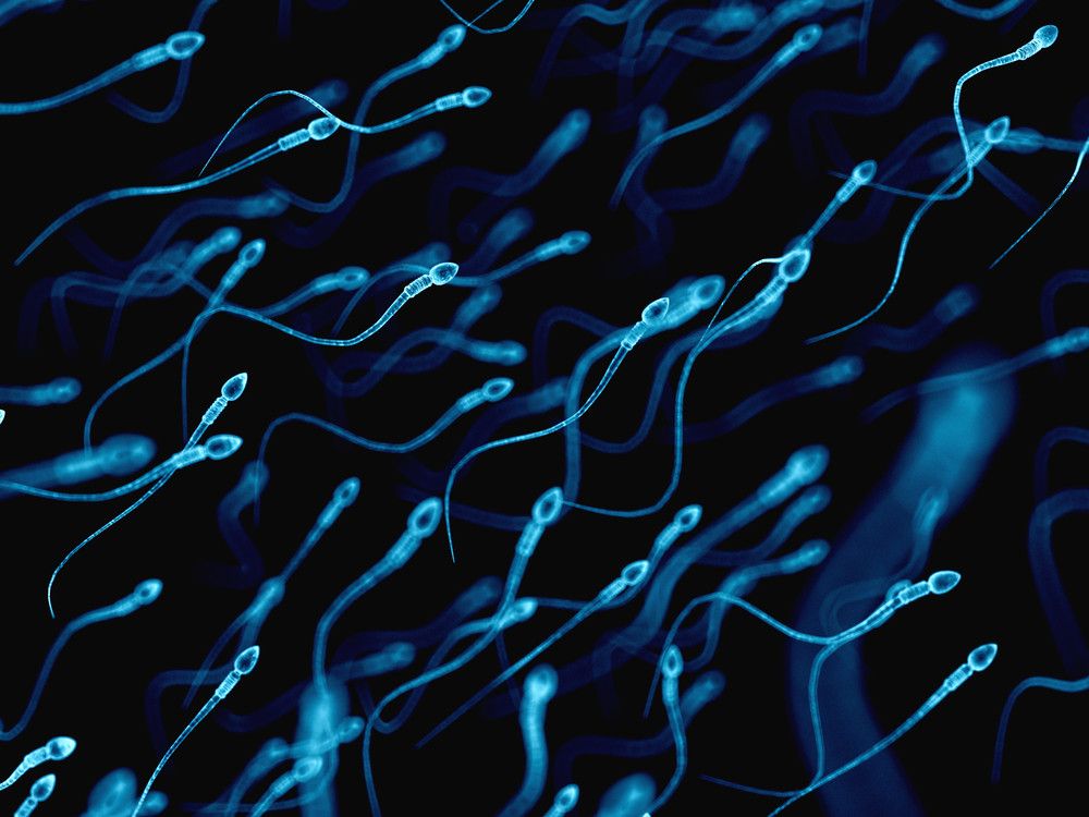 Tips Menjaga Kualitas Sperma
