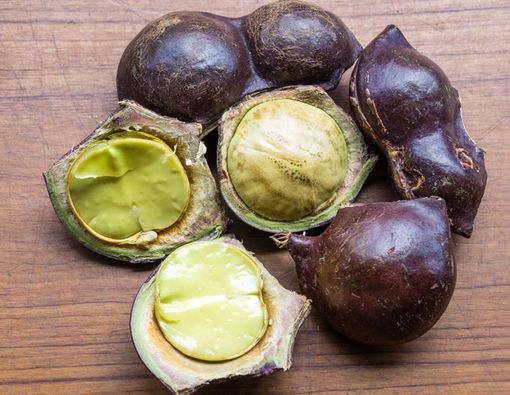 Bahaya Makan Jengkol Terlalu Banyak