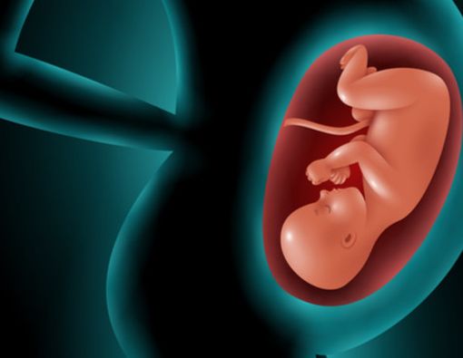 Benarkah Selera Makan Anak Ditentukan Sejak dalam Kandungan?