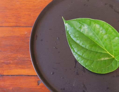 Benarkah Daun Sirih Bisa Atasi Keputihan?