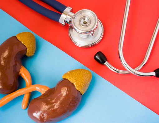 Kenali Penyebab Infeksi Saluran Kemih