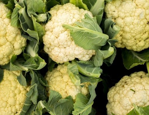 Jangan Sampai Terlewat Manfaat Kembang Kol untuk Ibu Hamil Ini