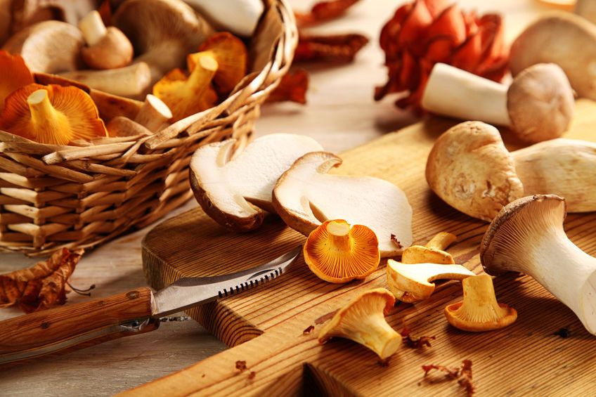 Jamur, Makanan Kerajaan Peningkat Stamina