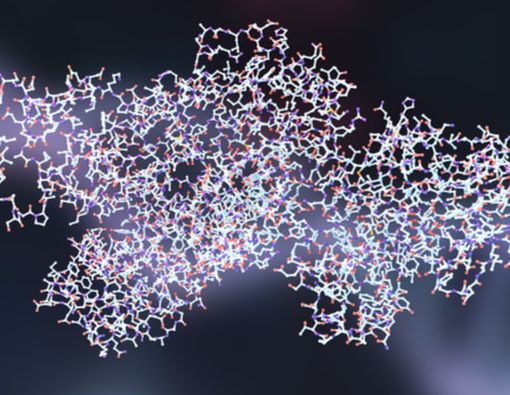 Awas, Kuman Antraks Sering Disalahgunakan untuk Senjata Biologi!