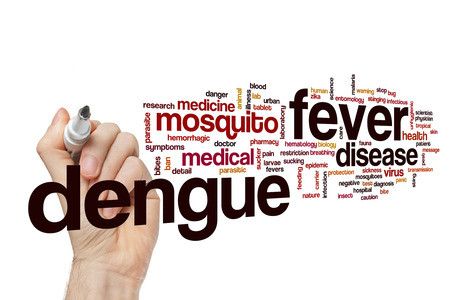 Mitos dan Fakta Soal Demam Berdarah Dengue