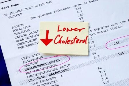 Sterol dan Stanol, Si Penurun Kolesterol 