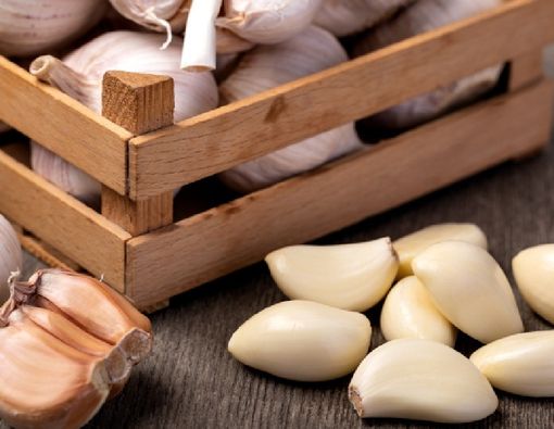 Menyingkap Manfaat Sehat Bawang Putih untuk Bronkitis