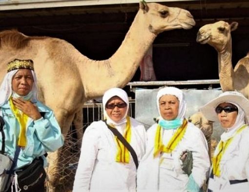 Kiat Mencegah Tertular Flu Unta Saat Ibadah Haji