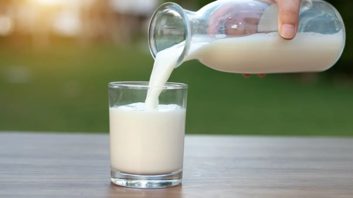 Manfaat Minum Susu yang Wajib Anda Tahu
