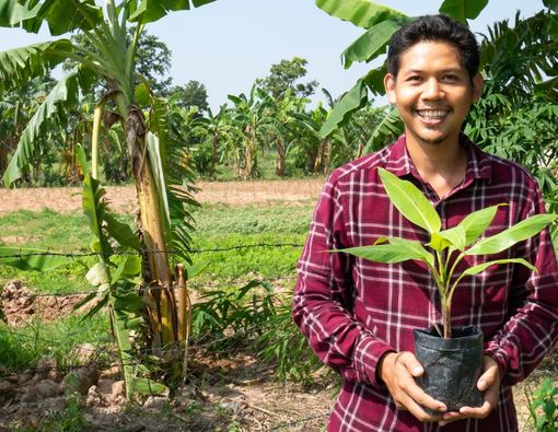 Manfaat Menanam Pohon untuk Kesehatan