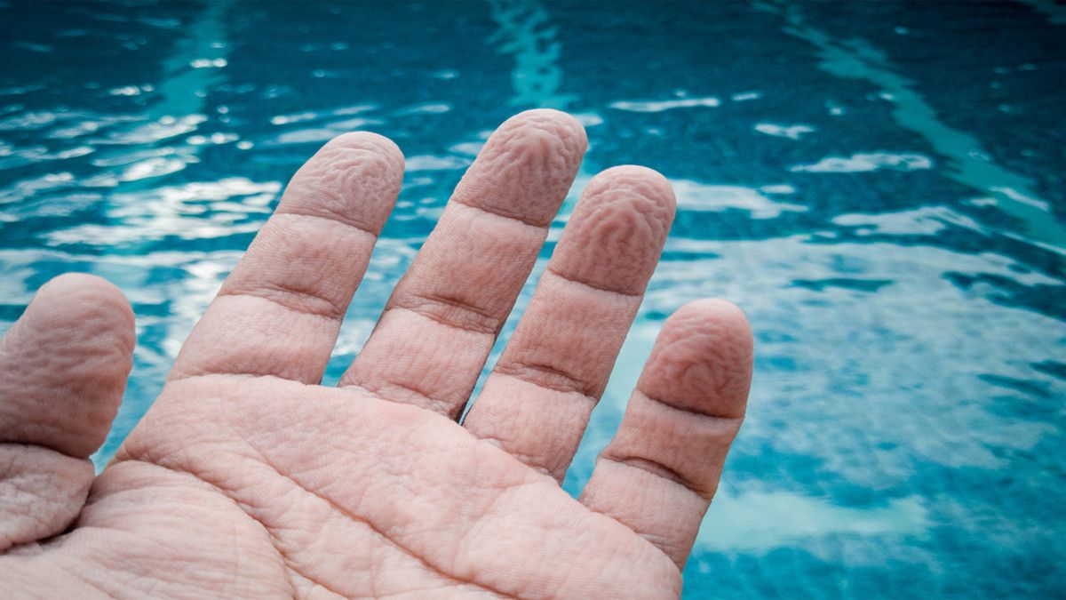 Tangan Keriput saat Berenang, Apa Penyebabnya?