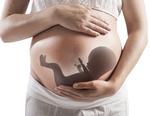 Hidrops Fetalis, Kelainan pada Tubuh Janin